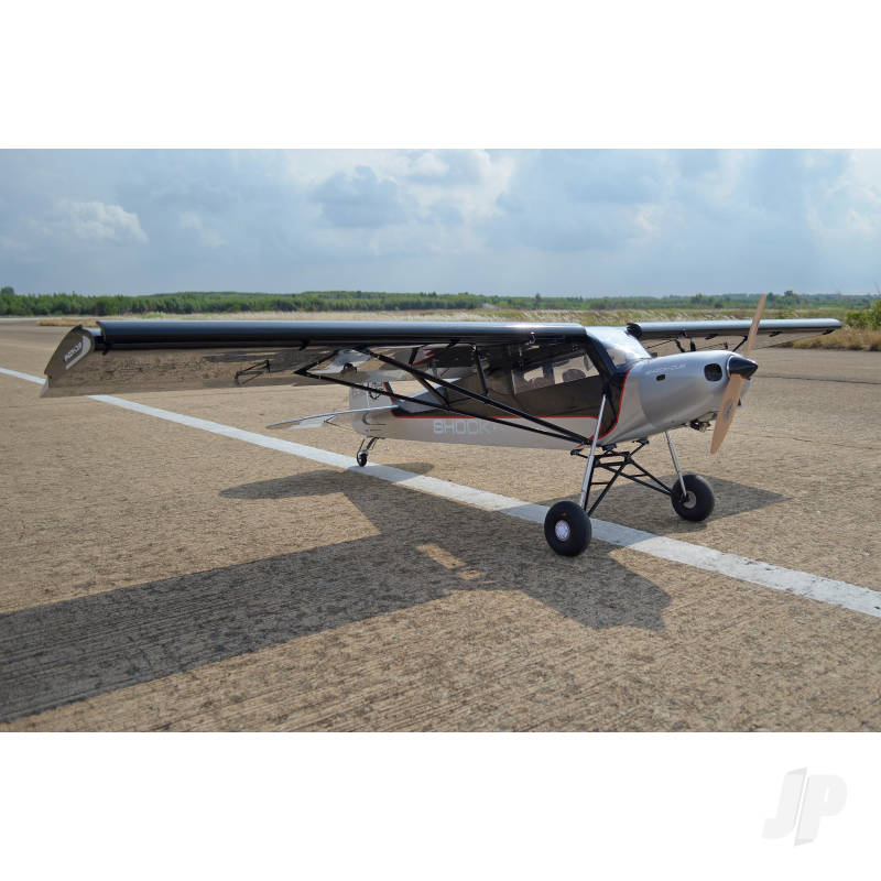 Seagull Silver Shock Cub