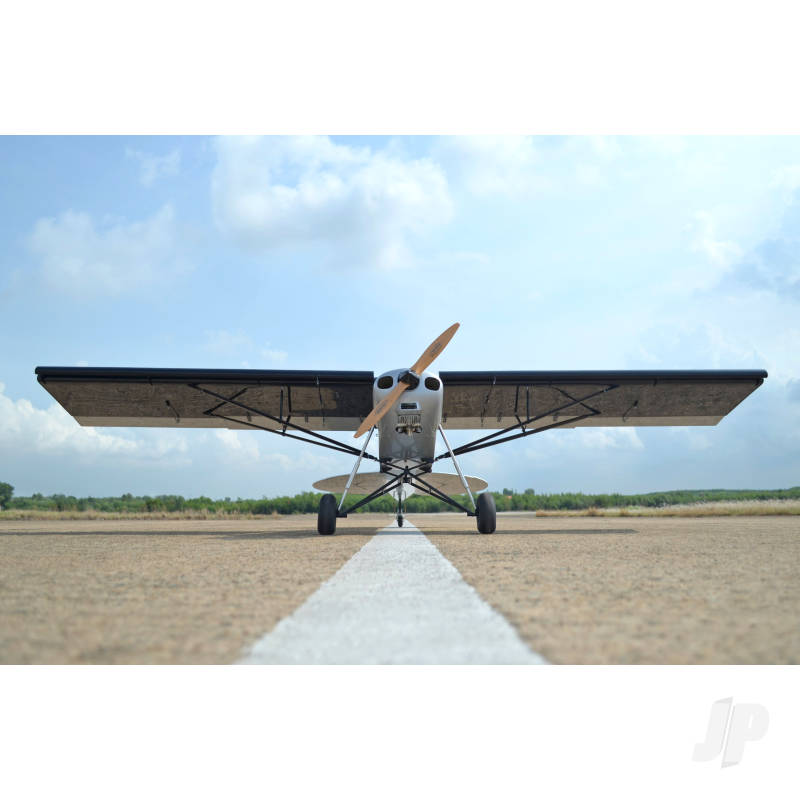 Seagull Silver Shock Cub