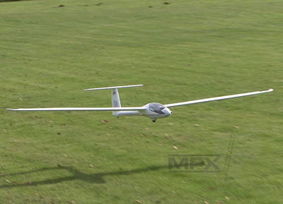 Multiplex RR Solius 264264