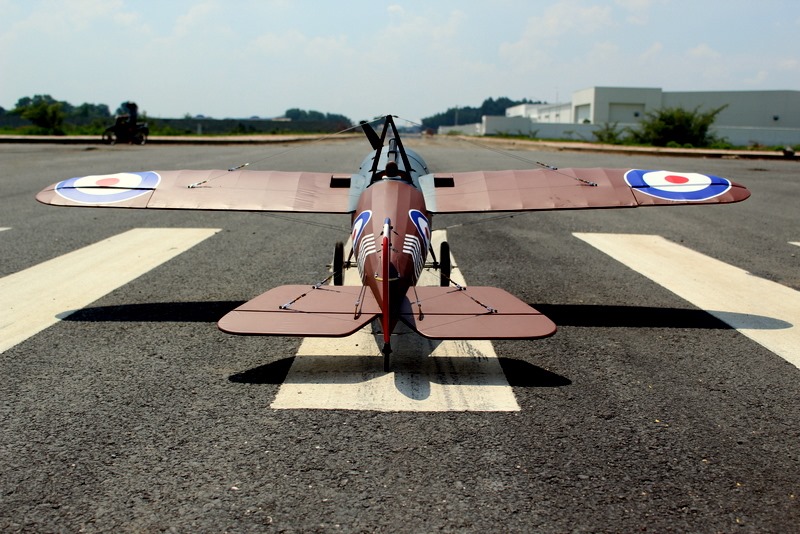 Seagull Bristol M1C Monoplane Spans 71” SEA337