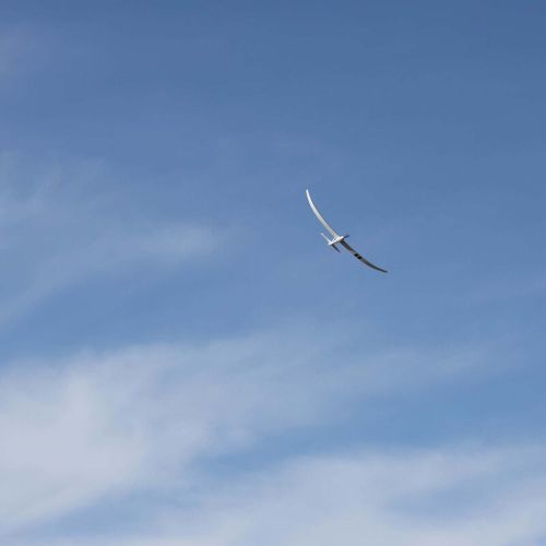 E-FLITE NIGHT RADIAN 2.0M BNF BASIC (A-EFL36500)