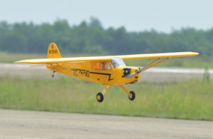 Black Horse Piper Cub ARTF A-BH004A