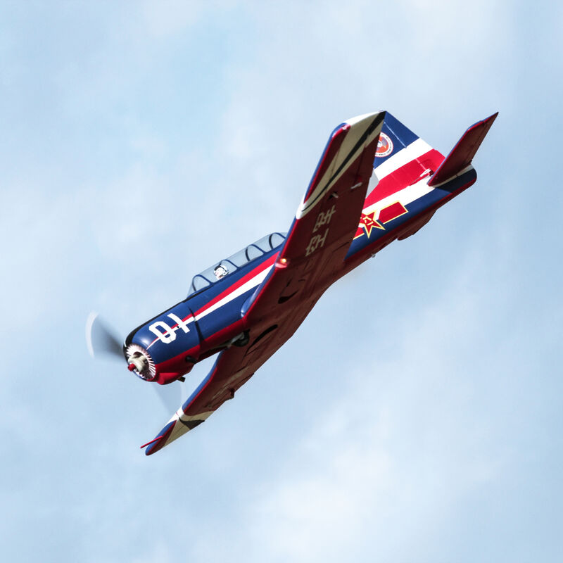 FMS Nanchang CJ-6 V2