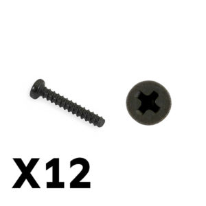 FTX Tracer Screws PBHO2*12MM FTX9755