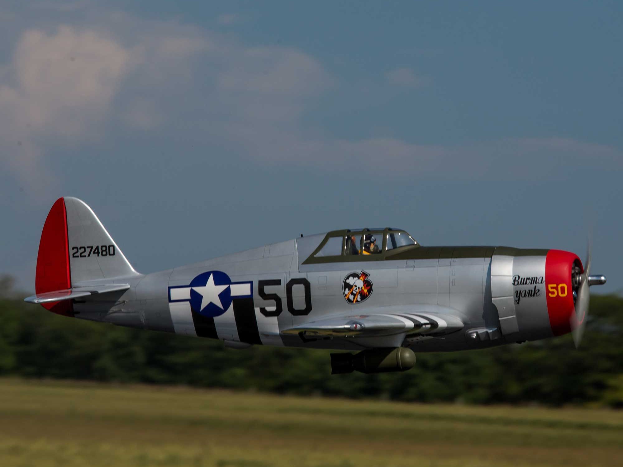 Hangar-9 P-47D Thunderbolt 20cc ARF 67 Inch A-HAN2990B