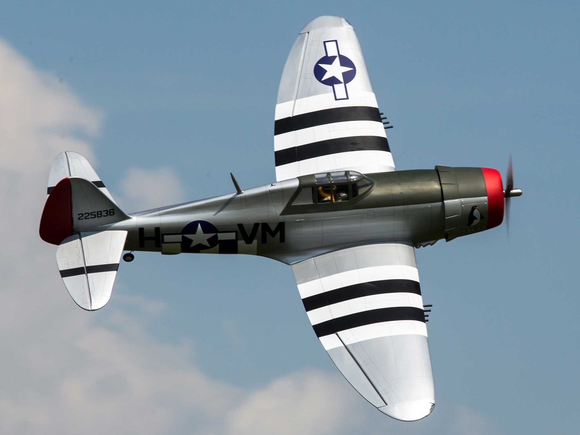 Hangar-9 P-47D Thunderbolt 20cc ARF 67 Inch A-HAN2990B